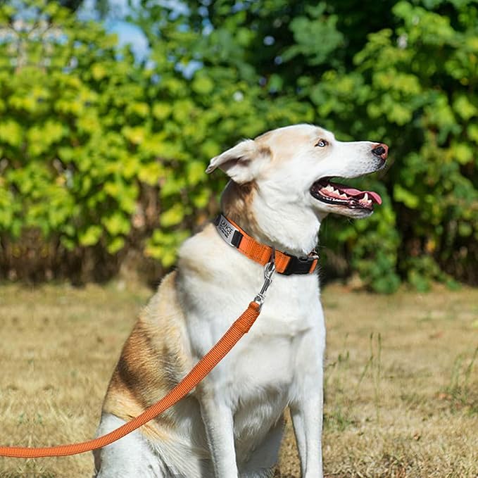 Joytale Personalized Dog Collars with Engraved Name Plate, Silent No Jingle Custom Nylon Collar with Fixed ID Tag, Reflective Soft Neoprene Padded Breathable for XLarge Dogs, Orange