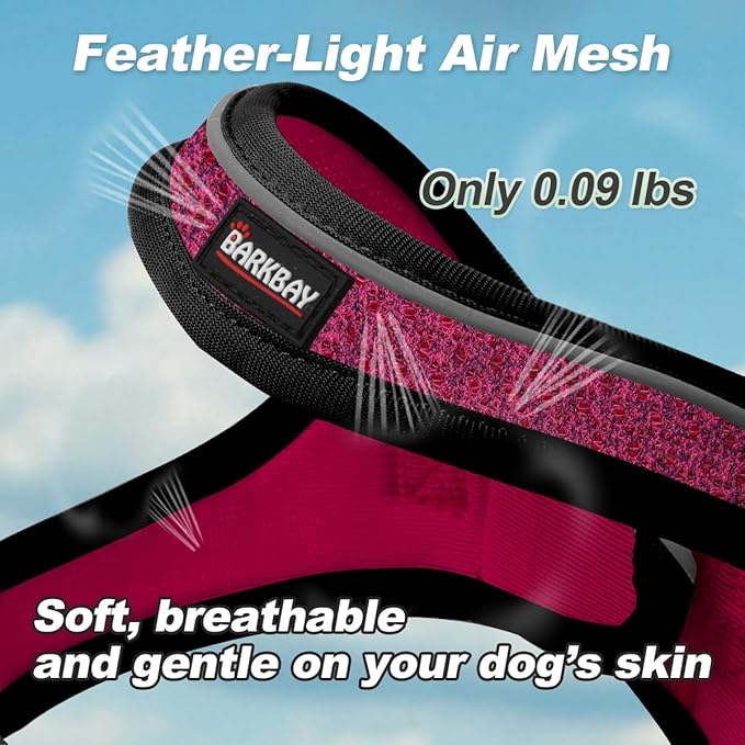Dog Harness and Leash Set,Step in Small Sized Dog Harness,Soft Mesh,No-Chock,Reflective Adjustable,Secure with Hook & Loop Fastener,Puppy Vest for Small,Medium Dogs(Pink/Black,XXXS)
