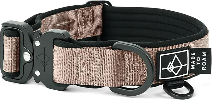 MADE TO ROAM Comfort Collar - Adjustable Nylon Dog Collar with Soft Comfortable Padding, Light Aviation Aluminum Metal Buckle for Small, Medium and Large Dogs (Utah Glow, Size 3)