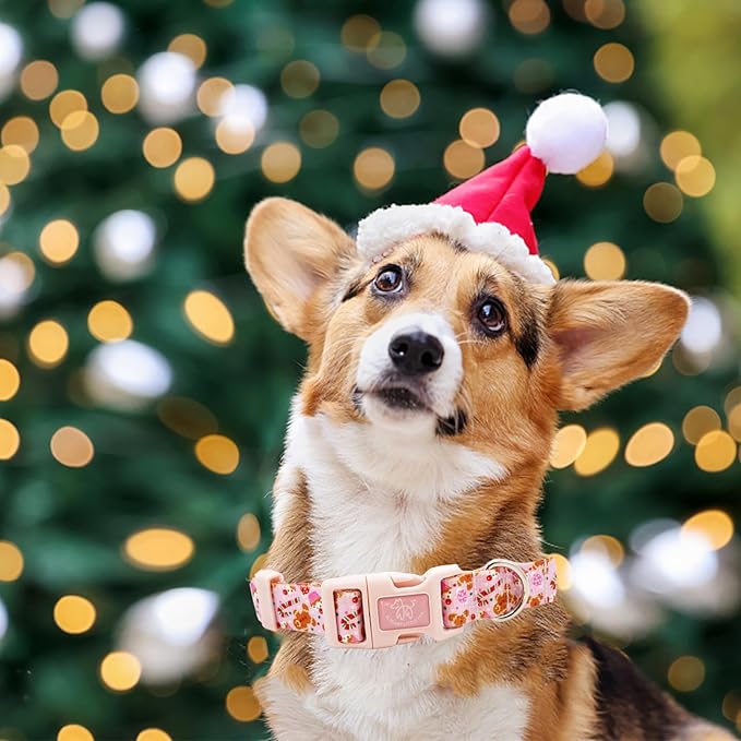 Elegant little tail Dog Collar with Leash, Pink Gingerbread Man Pet Collar Leash Adjustable Collar for Small Medium Large Dogs Soft Puppy Collars with Quick Release Buckle Girl Boy Dog Collars