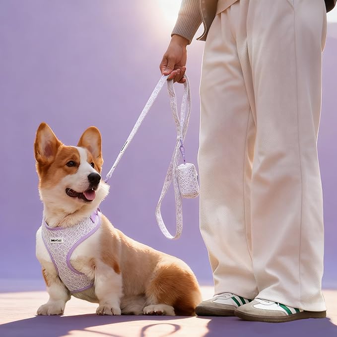 5 FT Stylish Dog Leash, Soft Dog Leashes with Comfortable Padded Handle, Metal Carabiner Clip, Strong No Pull Pet Leash for Small Medium Dogs for Walking, Shopping and Running