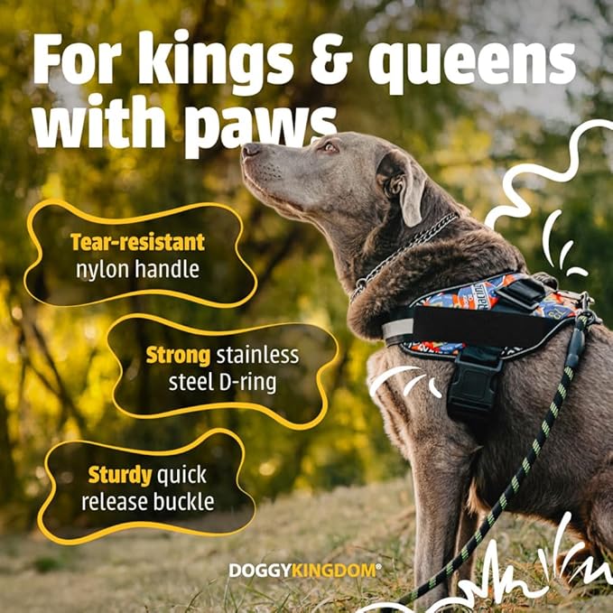 Non Pull Dog Harness with Patch Panels and Handle, Adjustable, Reflective, No Choke, Heavy Duty Easy On Service Dog Vest Harnesses for Medium Large Small Sized Dogs - Military Desert, L