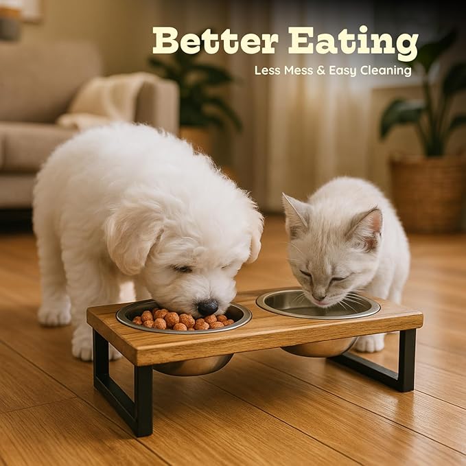 Elevated Dog Bowls, Small 4 Height Mango Wood Raised Dogs Bowl Stand Iron Frame with 16oz 2 Pcs Stainless Steel Pet Dishes | Food & Water 2Cup, 0.47L Capacity Nonslip Cats Feeding Station