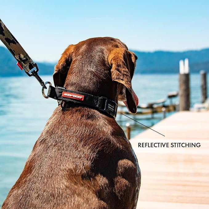 EzyDog Checkmate Martingale Collar for Dogs – Premium Nylon Training Dog Collar for Easy Control with no Choking (Medium, Black)