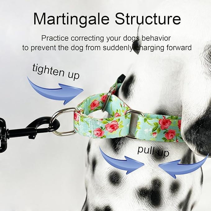 Martingale Collar for Dogs with Buckle Pink Floral Dog Collar No Pull Cute Girl Female Dog Collars for Extra Small Dogs, Green Rose