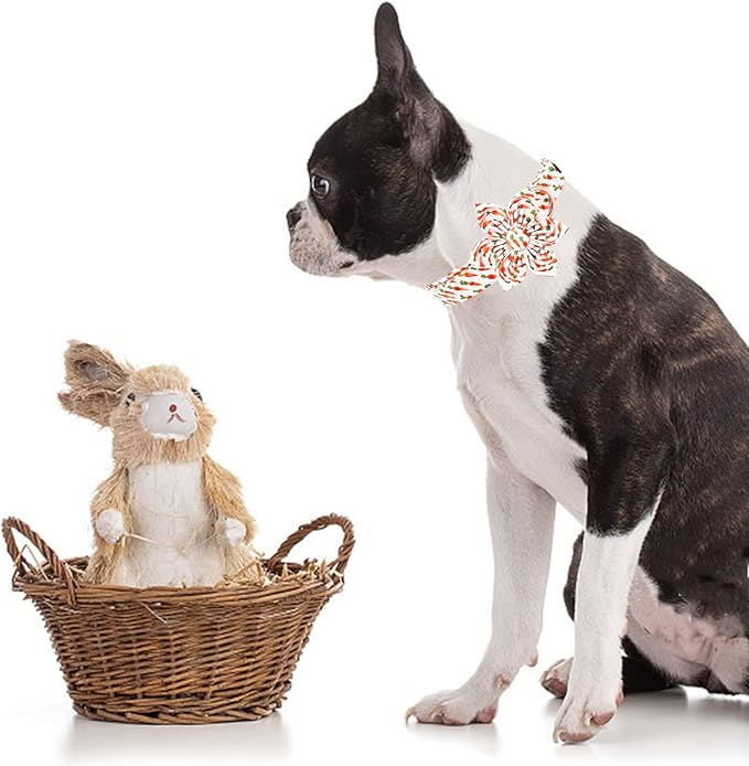 Elegant little tail Easter Dog Collar,Carrot Dog Collars Holiday Pet Collar with Flower Pet Gift Adjustable Puppy Collars for Large Dogs