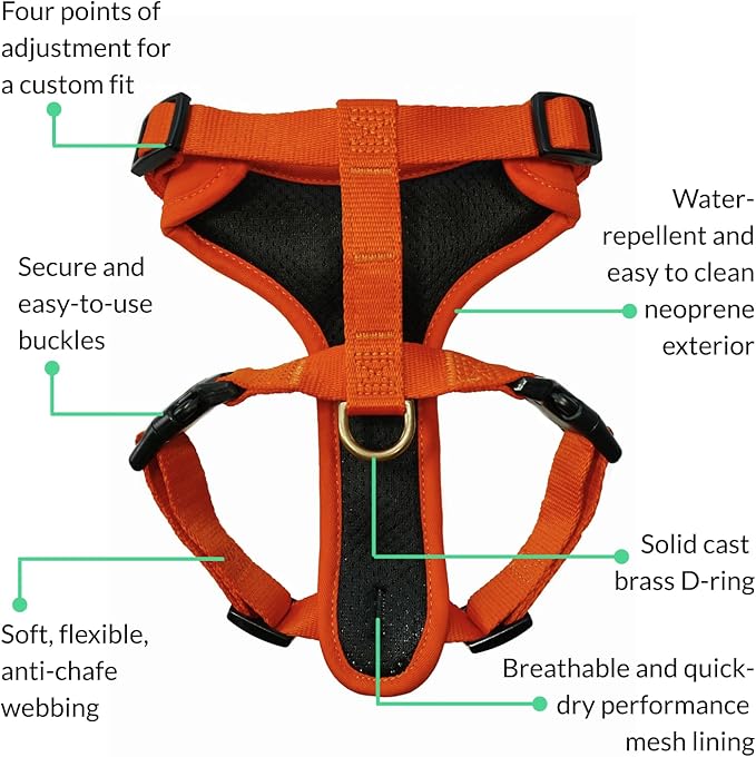 DJANGO Adventure Dog Harness - Stylish, & Durable Small Dog Harness for Outdoor Adventures and Everyday Wear - Sunset Orange Neoprene Adjustable Harness for Dogs with Reflective Piping & Brass D-Ring