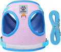 Dog Harness and Leash Set-No Pull No Choke Step-in Pet Harness for All Weather Lightweight Adjustable Cat Harness Breathable Soft Mesh Puppy Vest with Hook & Loop Fastener Buckles D-Rings-Blue+Pink-L