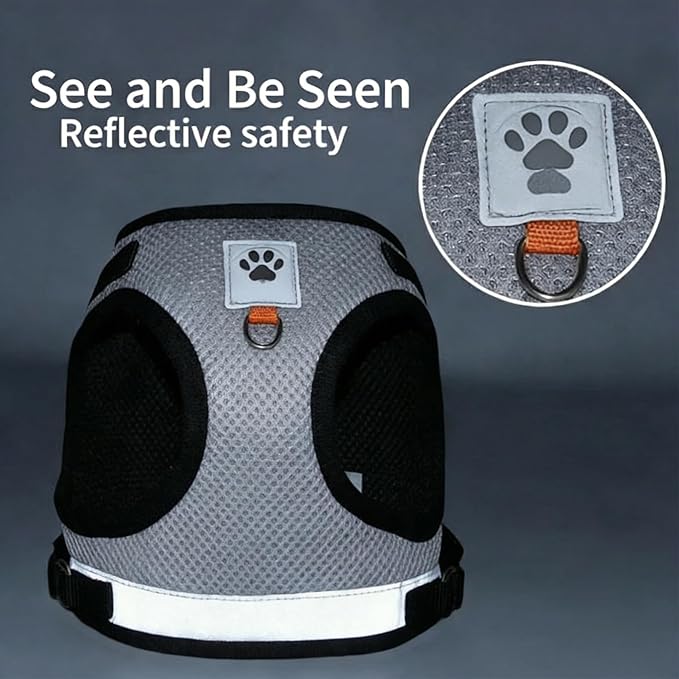 Dog Harness and Leash Set-No Pull No Choke Step-in Pet Harness for All Weather Lightweight Adjustable Cat Harness Breathable Soft Mesh Puppy Vest with Hook & Loop Fastener Buckles D-Rings-Black-XL