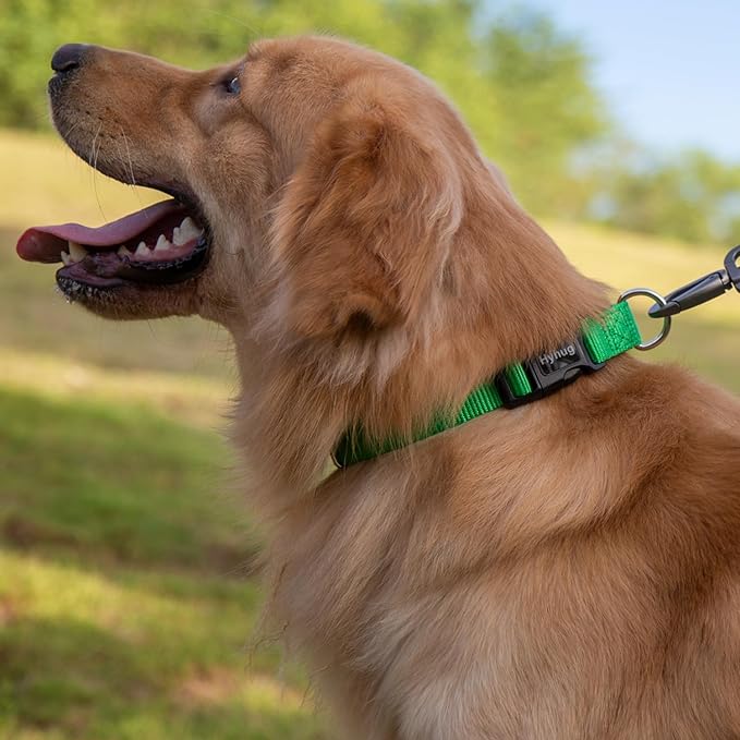 Hyhug Small Dog Collar Quick-Release Green| Heavy-Duty Nylon Puppy Collar, Adjustable & Durable Pet Supplies for Boy & Girl Dogs (Small, Lime Green)