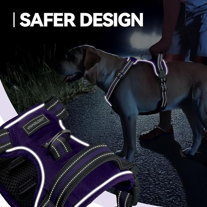VIVAGLORY Dog Harness Easewalk No Pull Dog Harness with Handle Front Clip & Back Clip for Training Walking Lifting, No Pull Adjustable Easy On Padded Comfortable for Pet, S, Purple - Patterned