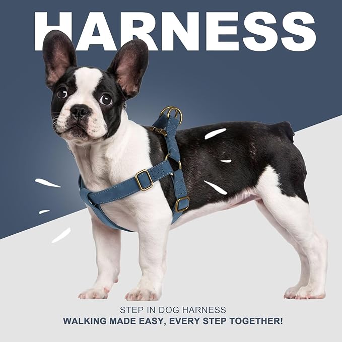 Didog Step in Dog Harness - PU Leather Dog Harness with Antique Bronze Metal Buckle, Easy Walk Dog Halter Harness for Medium Dogs Walking Training (Blue, S: Chest 16-22")