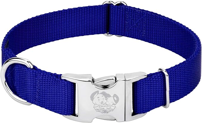 Country Brook Petz - Premium Nylon Dog Collar with Metal Buckle for Small Medium Large Breeds - 10+ Cool Colors (Medium, 3/4 Inch, Bright Royal Blue)