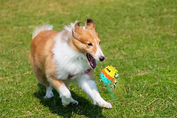 Carllg Dog Toys for Aggressive Chewers, Treat Dispensing Dog Toys, Durable Puzzle Balls Puppy Chew Toys for Teething, Dog Enrichment Toys for Medium and Large Breed
