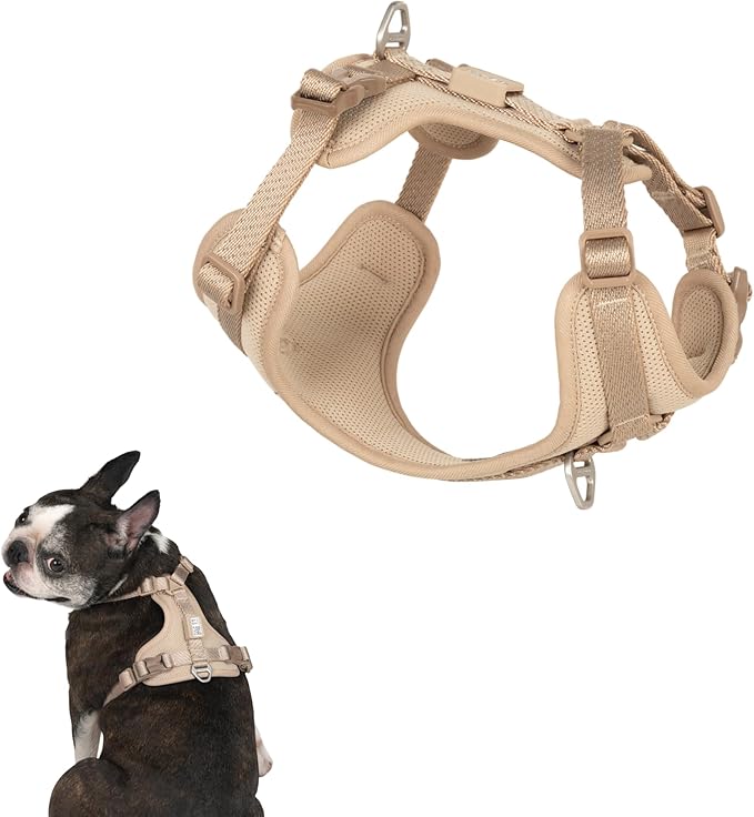 All-Weather No Pull Dog Harness Reflective Vest Harness QR Code Anti-Lost Adjustable Quick-Release Buckle Soft Padded Breathable Harness for Small Dogs (Super Reflect-Earth, XS)