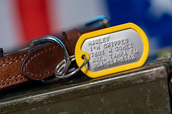 Dog Tags for Dogs, Custom Dog Collar ID Tag Personalized for Pets - Super Tough, Quiet Embossed Military Style Stainless Steel Dog Name tag (Yellow)