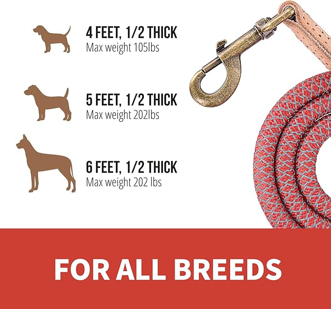 Mile High Life Reflective Dog Leash - Heavy Duty Nylon Rope Leash for Small to Large Dogs, Climbing Rope Design with Leather Tip (Red, 48 Inch)