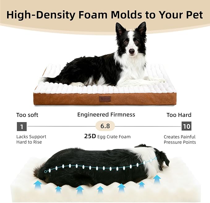 Orthopedic Dog Bed with Firm High-Density Egg Crate Foam, Machine Washable Cover & Non-Slip Bottom for Medium & Large Breeds (Brown, 35" L x 22" W x 3" H)