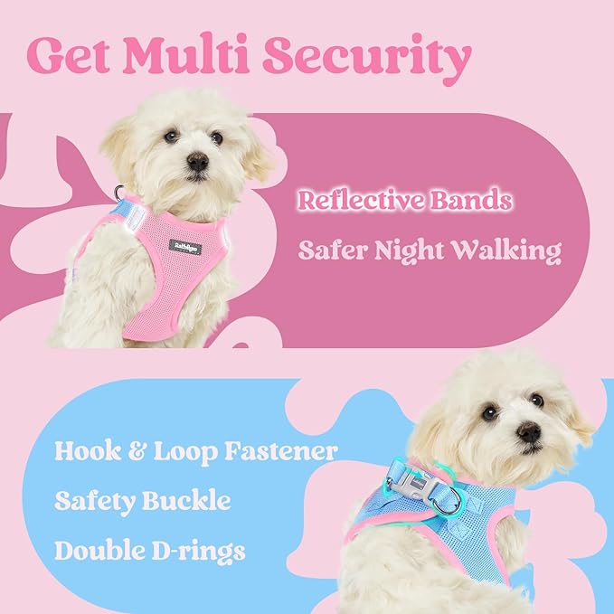 rabbitgoo Small Dog Harness, Step-in Soft Mesh Puppy Vest with Safety Buckle, Breathable Reflective Pet Harness for Small Sized Dogs, Blue & Light Pink XS