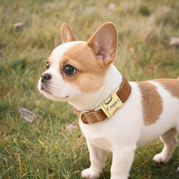 Personalized Velvet Dog Collar with Name & Phone Custom Dog Collar Personalized Name and Phone Number, Custom Collar Leash for Dogs, Engraved Metal Buckle Collar (Style- D)