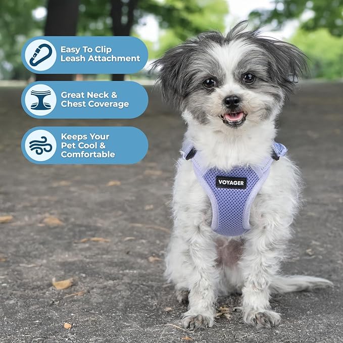 Best Pet Supplies Voyager Adjustable Step-in Flex Breathable Mesh Dog Harness for Small Medium Large Dogs (Lavender), XL