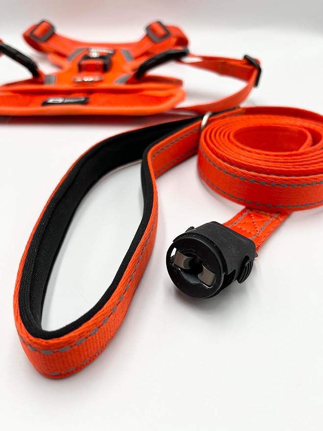 Clickette™ Magnetic Locking Harness and Leash (Orange, Small)
