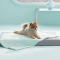 Bedsure Premium Cooling Blanket for Small Dog - Q-MAX>0.5, Breathable Summer Washable Cold Pet Throw Blanket, Soft Durable Self Cooling Cat Mat for Hot Weather, Turquoise Green, 25x35