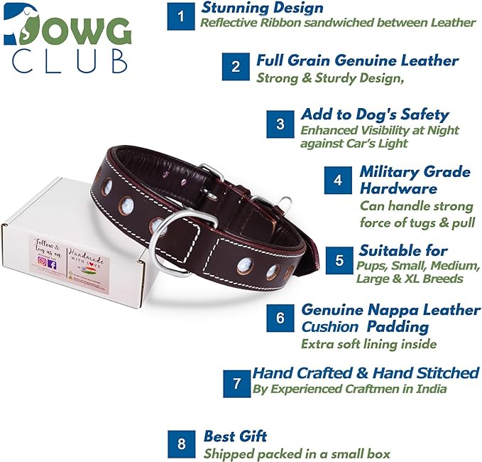 | Genuine Leather Dog Collar | Full Grain, Heavy Duty | Comfortable, Padded, Strong | Best for Pups, Small, Medium, Large & XL Breeds (Small (Fit Neck Size 11.5"-14.5"), Raven)