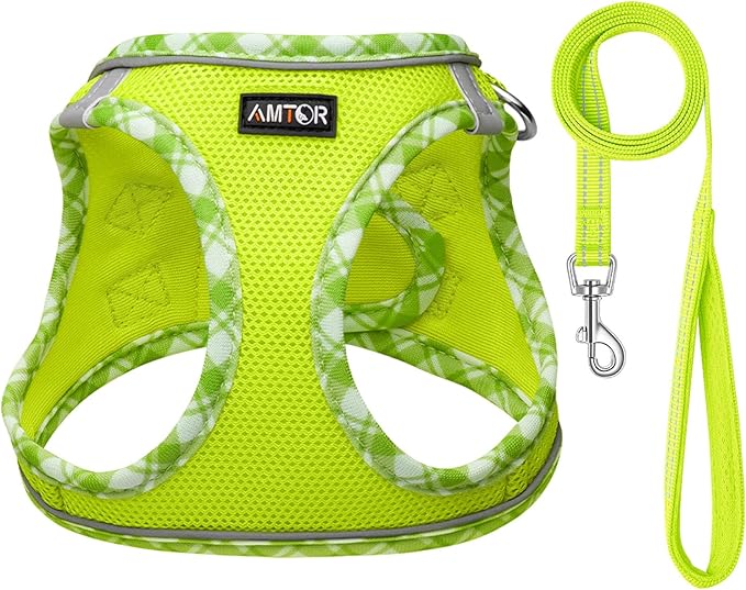 AMTOR Small Dog Harness with Leash Set, No Escape Easy Walk Puppy Harnesses for Training Walking, Step-in Reflective Soft Dogs Vest for XS S Medium Extra-Small Large Sized Dog(S Size,Green/White)