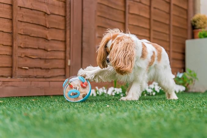 Wobble Ball Interactive Food & Treat Dispensing Puzzle Toy for Puppies & Dogs - Slow Feeder, Mental Enrichment, Forage Skills, Training, Relieves Boredom - Dishwasher Safe, Easy Clean (Sea Foam Blue)