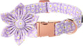 Lionet Paws Spring Female Dog Collar with Flower, Soft Comfortable Adjustable Daisy Collar for Dogs, Small, Neck 10-16 inches