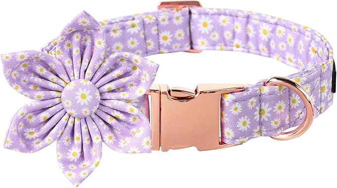 Lionet Paws Spring Female Dog Collar with Flower, Soft Comfortable Adjustable Daisy Collar for Dogs, Medium, Neck 13.5-22 inches