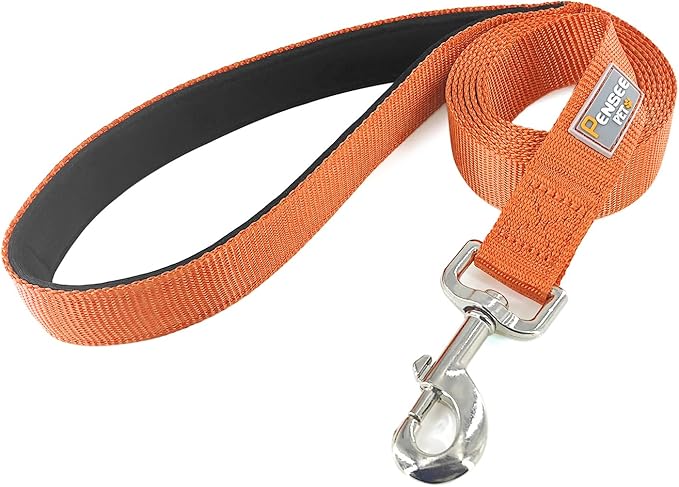 Basic Dog Leashes 6 FT Padded Handle Nylon Dogs Leashes for Medium Dogs Orange