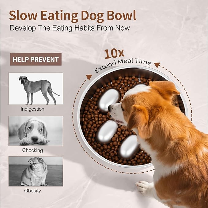 Slow Feeder Dog Bowls Stainless Steel with Non-Slip Silicone Base Metal Bowl 2 Cups Heavy Duty Large Capacity Slow Feed for Small, Medium, Large Breed Dogs to Slow Down Eating
