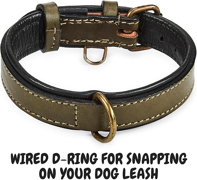 Real Leather Dog Collar Padded Soft Interiors with Premium Vintage Look Handcrafted Heavy Duty with Tag Ring for Small Medium and Large Pets (Small (1" Wide for 10.75" - 13.75" Neck), Olive)