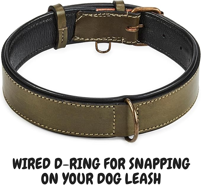 Real Leather Dog Collar Padded Soft Interiors with Premium Vintage Look Handcrafted Heavy Duty with Tag Ring for Small Medium and Large Pets (Large (1.5" Wide for 16.5" - 20.5" Neck), Olive)