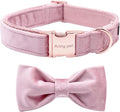 ARING PET Velvet Dog Collars with Bow tie, Bowtie Dog Collar, Cute Pink Collar for Girl and Boy Dogs,Small.