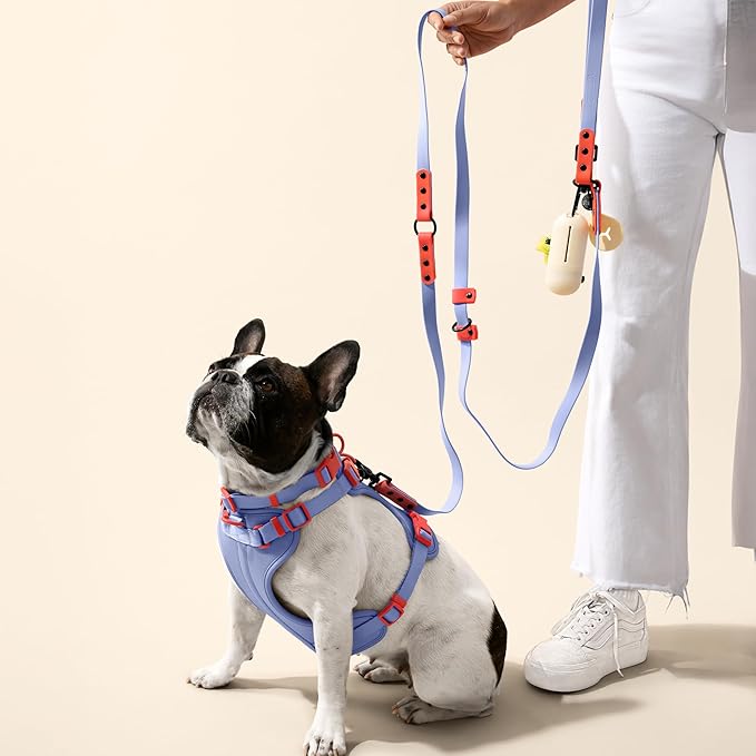 WLK1006E-5SET Luna Large 8FT Adjustable 6-in-1 Waterproof Hands-Free Leash and Collar with LED Flashlight, Bag Dispenser, and Poop Bag Holder, Sangria