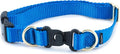 PetSafe KeepSafe Collar for Dogs - Protects Against Collar Accidents - Long Lasting - Durable - Adjustable - Breakaway - Outdoor-Safe - Medium - 1 in. Wide - Blue