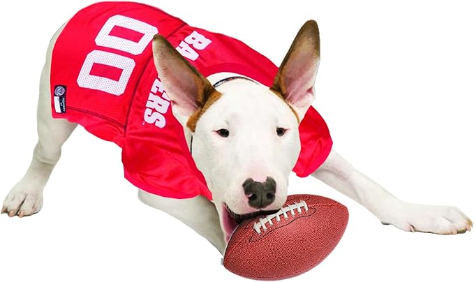 Pets First NCAA College Wisconsin Badgers Mesh Jersey for DOGS & CATS, X-Small.Licensed Dog Jersey with your Favorite Football/Basketball College Team