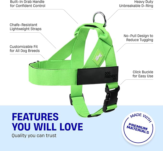 DF Co. Dog Harness | Chafe Resistant Webbing, Adjustable Neck & Chest, and Heavy Duty D-Ring | Sturdy, Comfortable, Easy to Use | Neon Green, Size M
