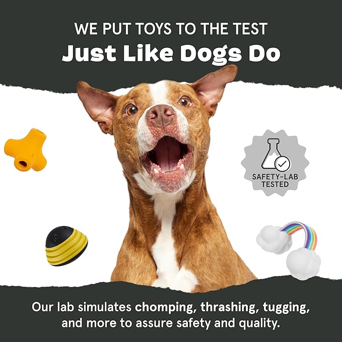 Barkbox Treat Caster Potion Dog Toy for Large Dogs Durable Rubber, Treat Dispensing with Wacky Wobble for Interactive and Engaging Playtime