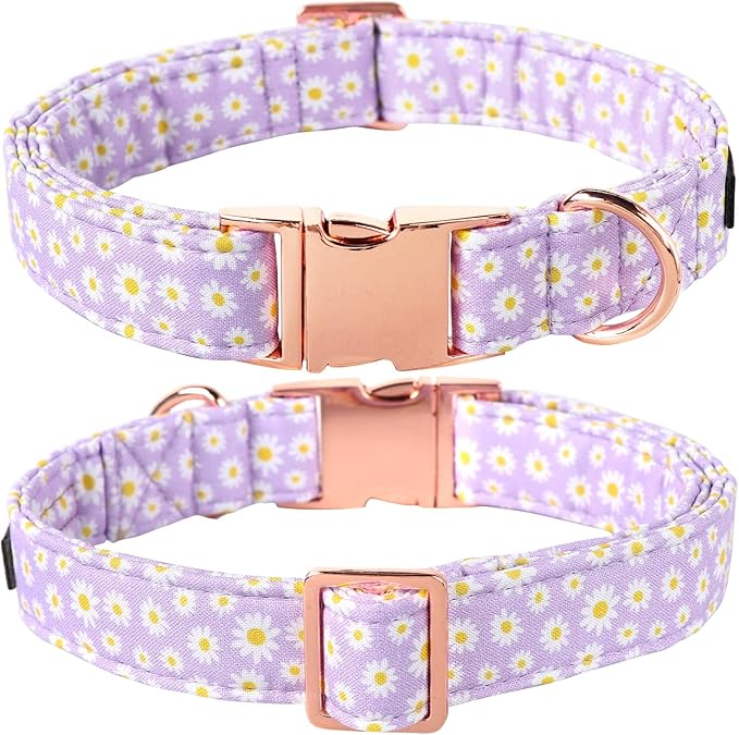 Lionet Paws Spring Dog Collar with Sailor Bow, Soft Comfortable Adjustable Cute Daisy Collar for Dogs, Medium, Neck 13.5-22 inches