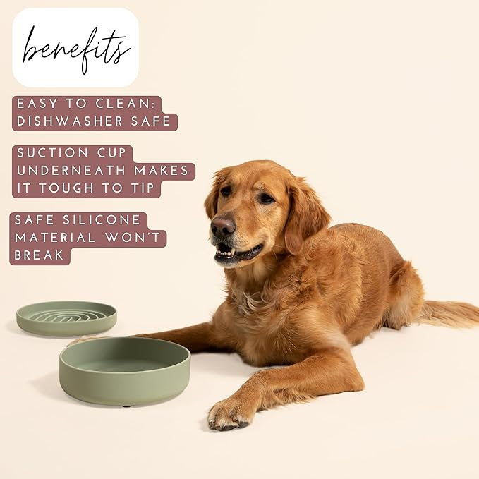 Should We Go? Dog Water Bowl - The Perfect Dish No-Spill Less Mess Non-Tippable Water & Food Bowl, Pure Silicone with Suction Cup Fits 5 Cups 7.5" Across x 2.25" Tall Ideal for All Pets, Medium-Spruce