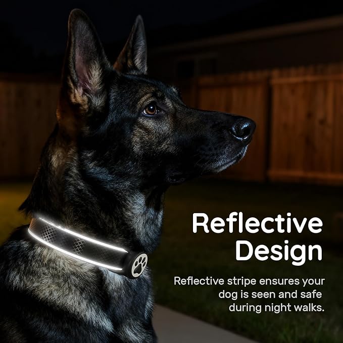 Reflective Dog Collar with Air tagholder, IPX8 Waterproof Air tagholder | Ultra-Durable | Soft Padded | Safety Locking Buckle | Fit Large Dogs (Black L(15.7"-23.6"))
