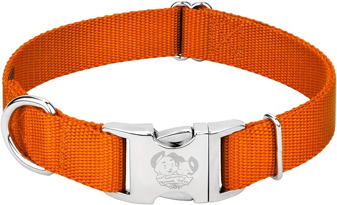 Country Brook Petz - Premium Nylon Dog Collar with Metal Buckle for Small Medium Large Breeds - 10+ Warm Colors (Large, 1 Inch, Orange)