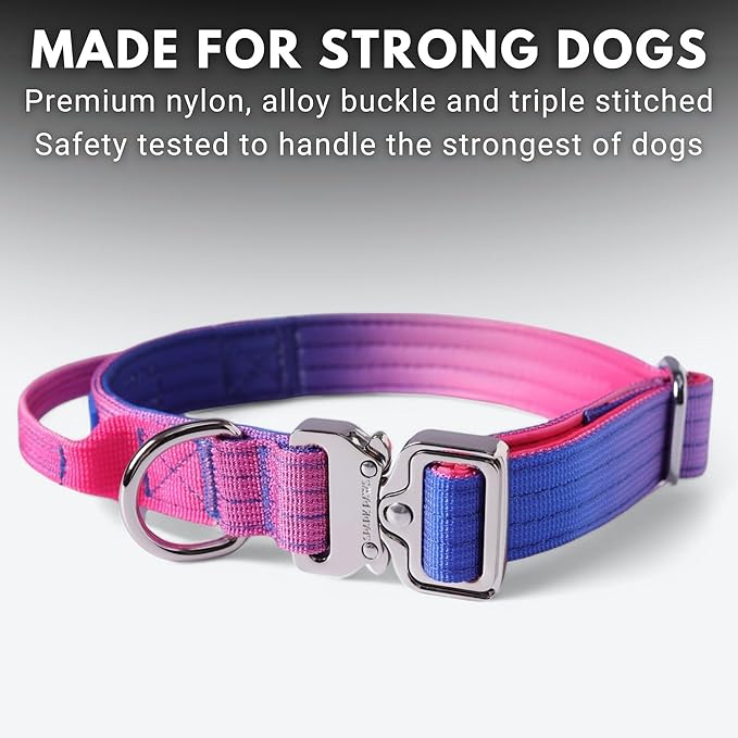 Spark Paws Tactical Dog Collar - Heavy Duty, Premium Quality, Thick and Durable for Large and Medium Dogs - Snow Cone - XS - 1"
