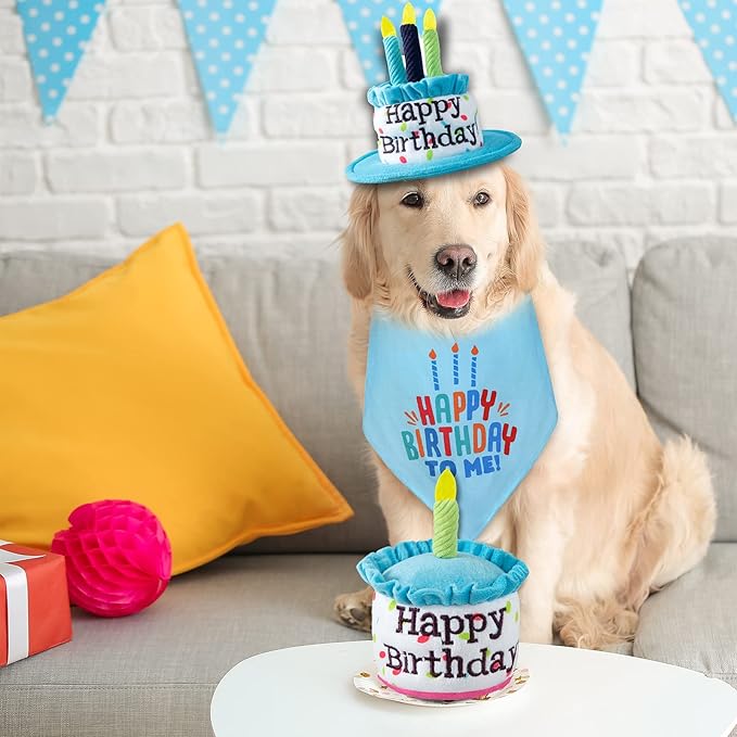 Dog Birthday Cake Toy, Happy Birthday Cake Shaped Squeaky Dog Toys for Small & Medium Dogs Funny Dogs Gifts Plush Dog Party Toys, Small, Blue