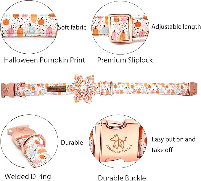 Elegant Little Tail Halloween Dog Collar with Pumpkin & Flowers for X-Small Dogs