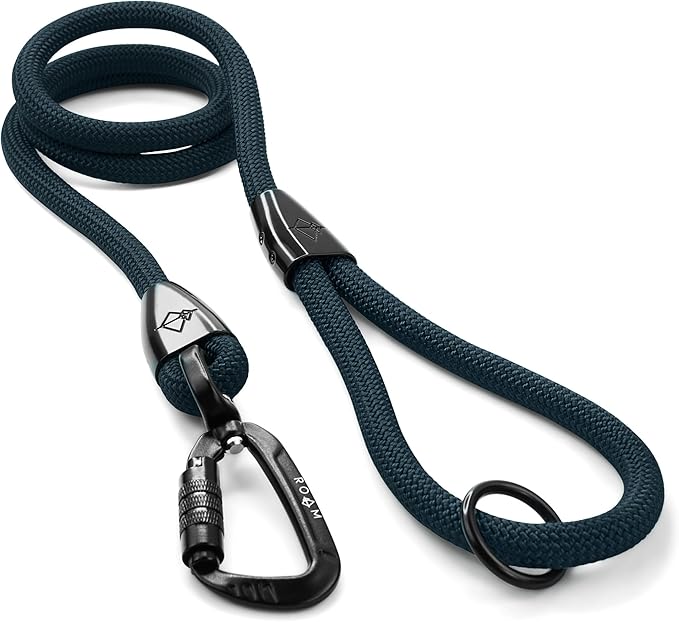 MADE TO ROAM Premium Explorer Leash - Climbing Rope Leash with Autolocking Aviation Aluminum Carabiner - Colorado Nightsky, 4ft